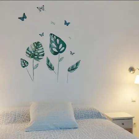 Roby&vito Vista 타우리토