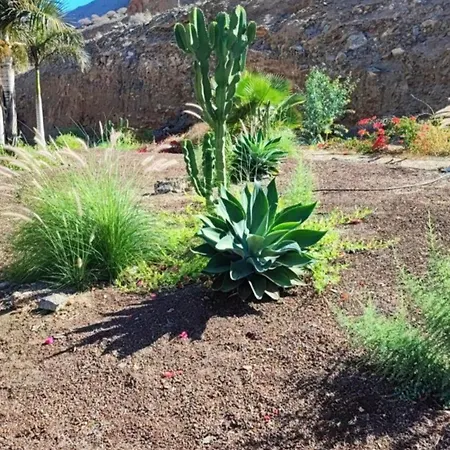 Roby&vito Vista 아파트 *